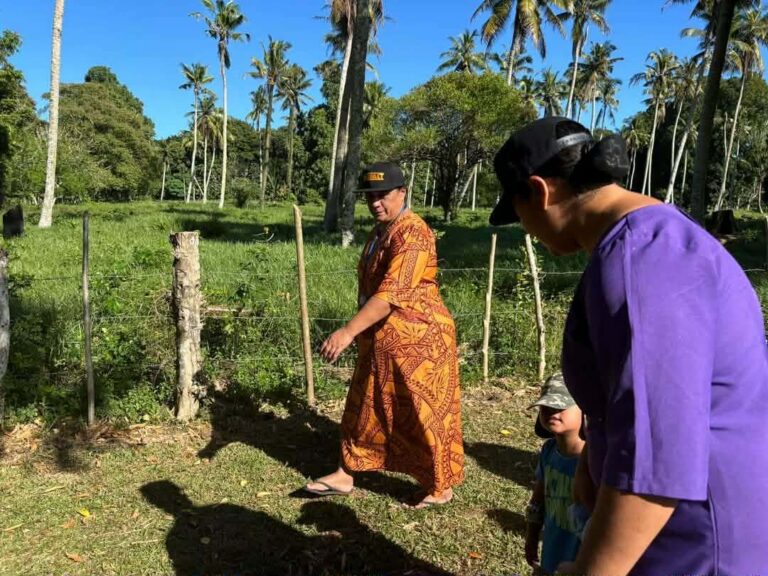 3dc64b55-96a8-45b6-b43a-6c3e0a270c9b