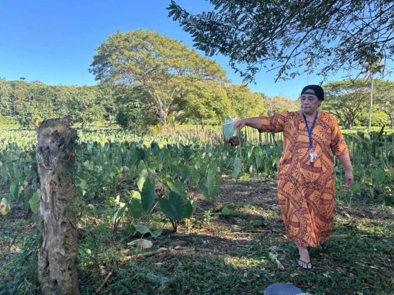 78281c98-11c3-44f2-a814-9a23a321634b